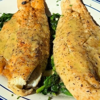Greek Sea Bass